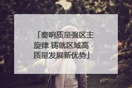 奏响质量强区主旋律 铸就区域高质量发展新优势